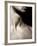 Ixo-Fabio Panichi-Framed Photographic Print