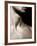 Ixo-Fabio Panichi-Framed Photographic Print