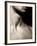 Ixo-Fabio Panichi-Framed Photographic Print