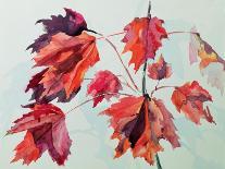 No.24 Autumn Maple Leaves-Izabella Godlewska de Aranda-Giclee Print