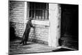 Photographic Print