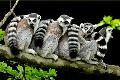 Premium Photographic Print