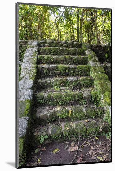 Izapa Ruins, Tapachula, Chiapas, Mexico-Peter Hawkins-Mounted Photographic Print