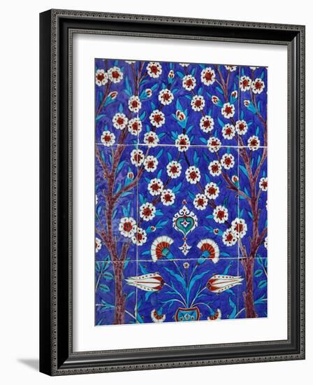 Iznik Tiles in Topkapi Palace, Istanbul, Turkey, Europe-Godong-Framed Photographic Print