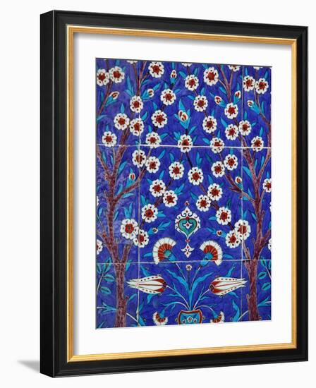 Iznik Tiles in Topkapi Palace, Istanbul, Turkey, Europe-Godong-Framed Photographic Print