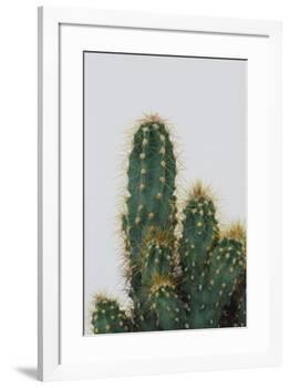 Izuna-Irene Suchocki-Framed Giclee Print