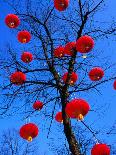 Chinese Lanterns Hanging from Trees in Tivoli Gardens, Copenhagen, Denmark-Izzet Keribar-Framed Premier Image Canvas