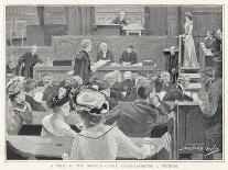 Trial in the Divorce Court London: Cross-Examining a Witness-J. Barnard Davis-Mounted Art Print