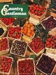 "Pints of Fruit and Berries," Country Gentleman Cover, July 1, 1949-J.c. Allen-Giclee Print