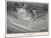 Photographic Print