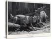 Stretched Canvas Print