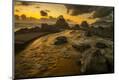 Premium Photographic Print