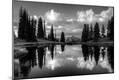 Photographic Print