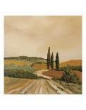 Sunny Tuscan Fields-J^ Clark-Giclee Print