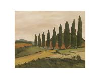 Sunny Tuscan Road-J^ Clark-Giclee Print