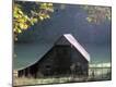 Photographic Print