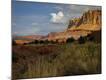 Photographic Print
