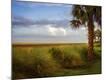 Photographic Print