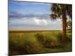 Photographic Print
