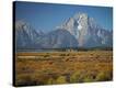 Stretched Canvas Print