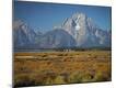 Photographic Print