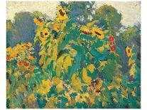 Sunflowers, Thornhill-J^ E^ H^ MacDonald-Stretched Canvas