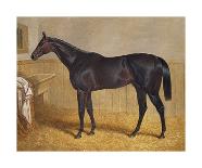 The Doncaster Gold Cup of 1838-J^F^ Herring Senior-Premium Giclee Print