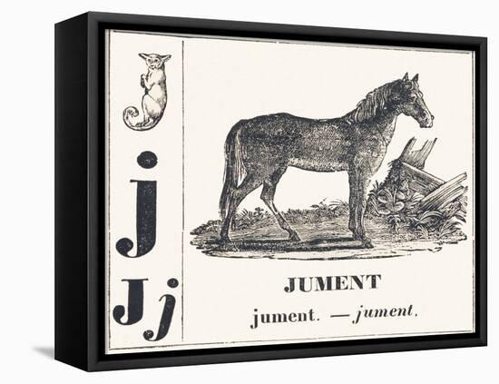 J for Mare, 1850 (Engraving)-Louis Simon (1810-1870) Lassalle-Framed Premier Image Canvas