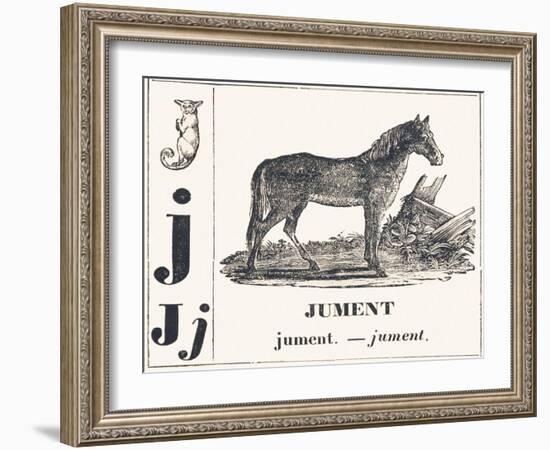 J for Mare, 1850 (Engraving)-Louis Simon (1810-1870) Lassalle-Framed Giclee Print