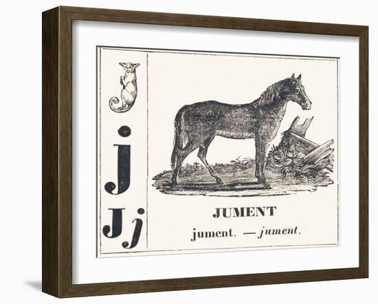 J for Mare, 1850 (Engraving)-Louis Simon (1810-1870) Lassalle-Framed Giclee Print