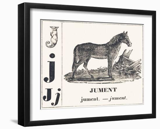 J for Mare, 1850 (Engraving)-Louis Simon (1810-1870) Lassalle-Framed Giclee Print