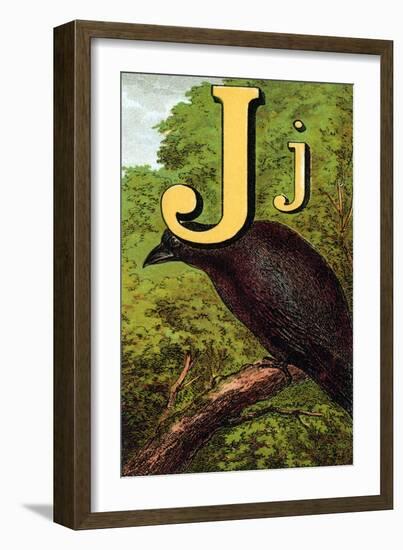 J For the Jackdaw, Perky And Bold-Edmund Evans-Framed Art Print