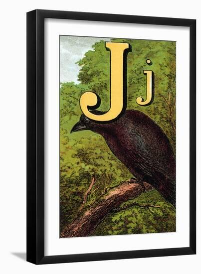 J For the Jackdaw, Perky And Bold-Edmund Evans-Framed Art Print