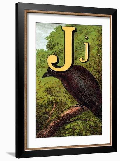 J For the Jackdaw, Perky And Bold-Edmund Evans-Framed Art Print