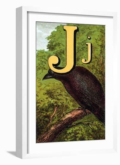 J For the Jackdaw, Perky And Bold-Edmund Evans-Framed Art Print