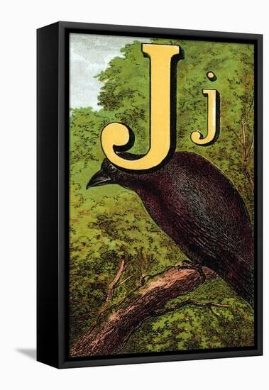 J For the Jackdaw, Perky And Bold-Edmund Evans-Framed Stretched Canvas