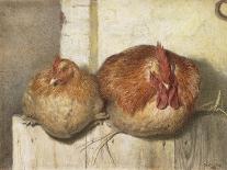 Forty Winks, 1865 (W/C on Paper)-J.G. Marks-Giclee Print