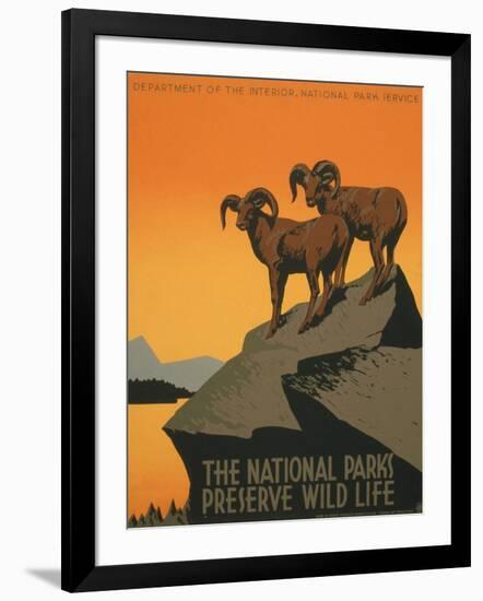 Art Print, , large