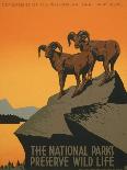 National Parks Preserve Wild Life-J. Hirt-Art Print