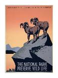 National Parks Preserve Wild Life-J. Hirt-Art Print