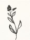 Ink Botanical Sketch VI-J. Holland-Art Print