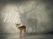 Believe #3-J Hovenstine Studios-Framed Giclee Print