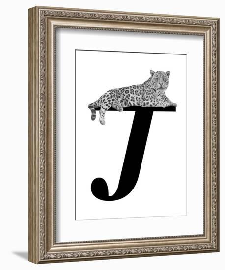 J is for Jaguar-Stacy Hsu-Framed Art Print