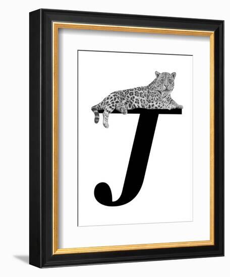 J is for Jaguar-Stacy Hsu-Framed Art Print