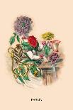 Cactus-J.J. Grandville-Art Print