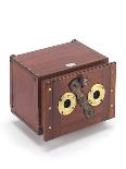 Stereoscopic Sliding Box Camera-J. J. Pyne-Mounted Giclee Print