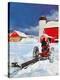 Stretched Canvas Print