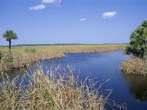 Everglades National Park, Unesco World Heritage Site, Florida, USA-J Lightfoot-Photographic Print