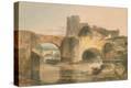 Stretched Canvas Print