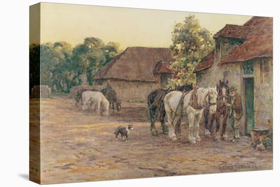 Stretched Canvas Print, , large
